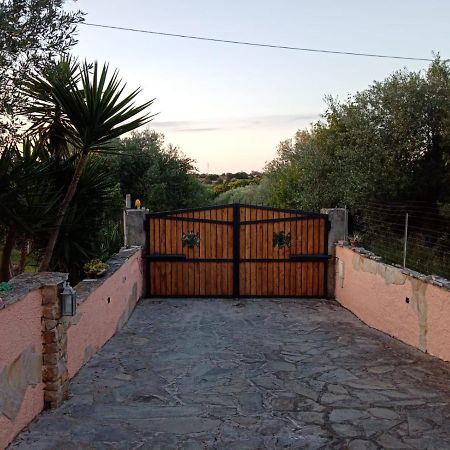 Villa Relax Tra Gli Ulivi Alghero Luaran gambar